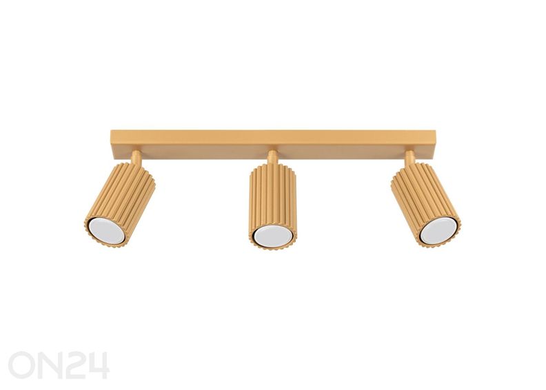 Kattovalaisin Karbon 3L kuvasuurennos