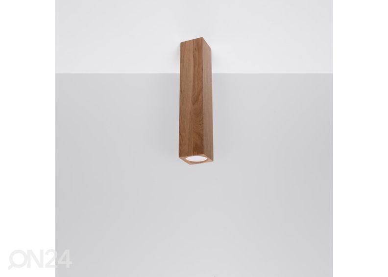 Kattovalaisin Keke 30, tammi kuvasuurennos