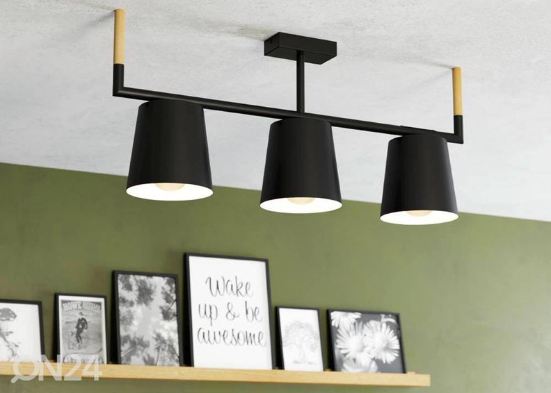 Kattovalaisin Lacey kuvasuurennos