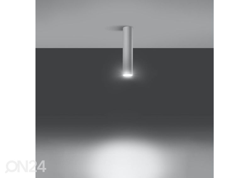 Kattovalaisin Lagos 30, valkoinen kuvasuurennos