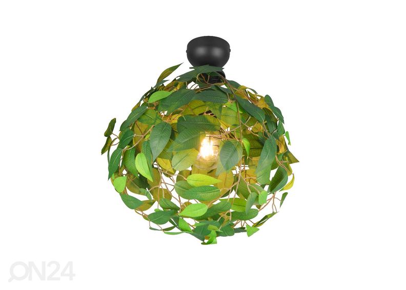 Kattovalaisin Leavy kuvasuurennos