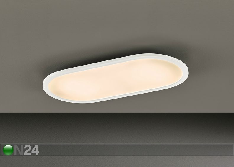 Kattovalaisin LED Hira kuvasuurennos