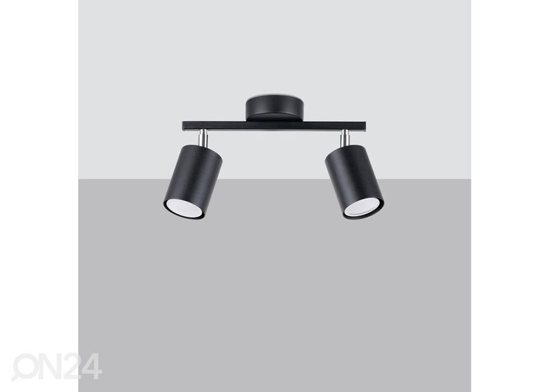 Kattovalaisin Lemmi 2, musta kuvasuurennos