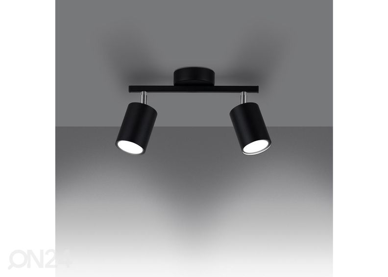 Kattovalaisin Lemmi 2, musta kuvasuurennos