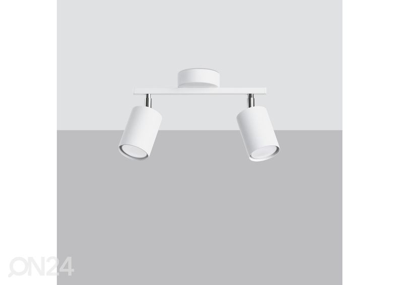 Kattovalaisin Lemmi 2, valkoinen kuvasuurennos