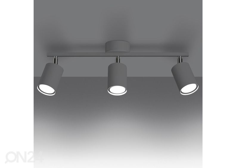 Kattovalaisin Lemmi 3, valkoinen kuvasuurennos