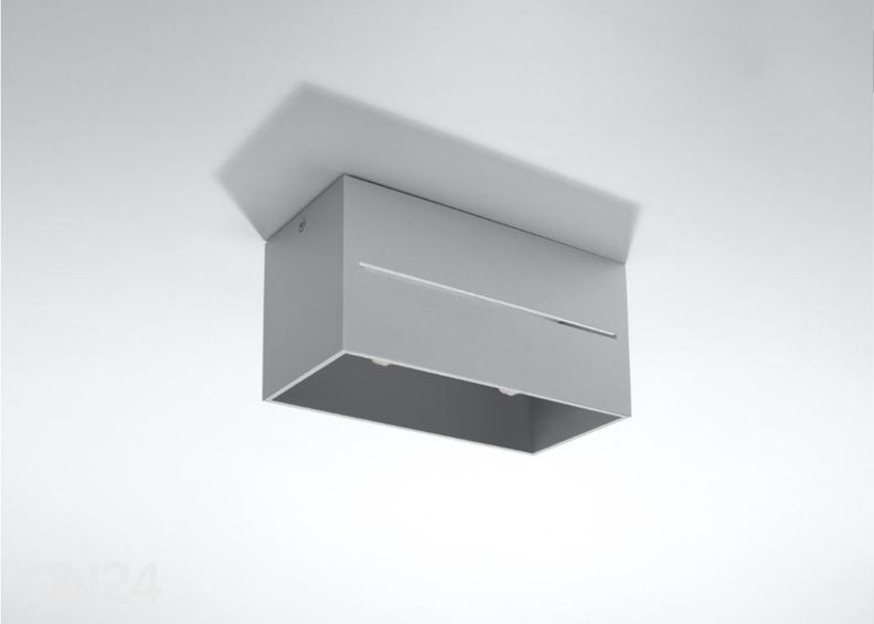 Kattovalaisin Lobo 2, harmaa kuvasuurennos