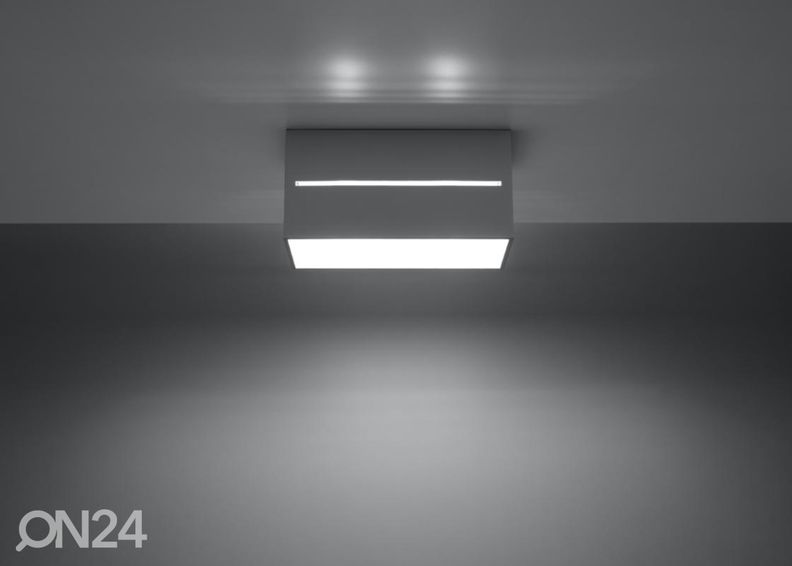 Kattovalaisin Lobo 2, harmaa kuvasuurennos