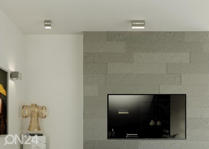 Kattovalaisin Lobo 2, harmaa kuvasuurennos