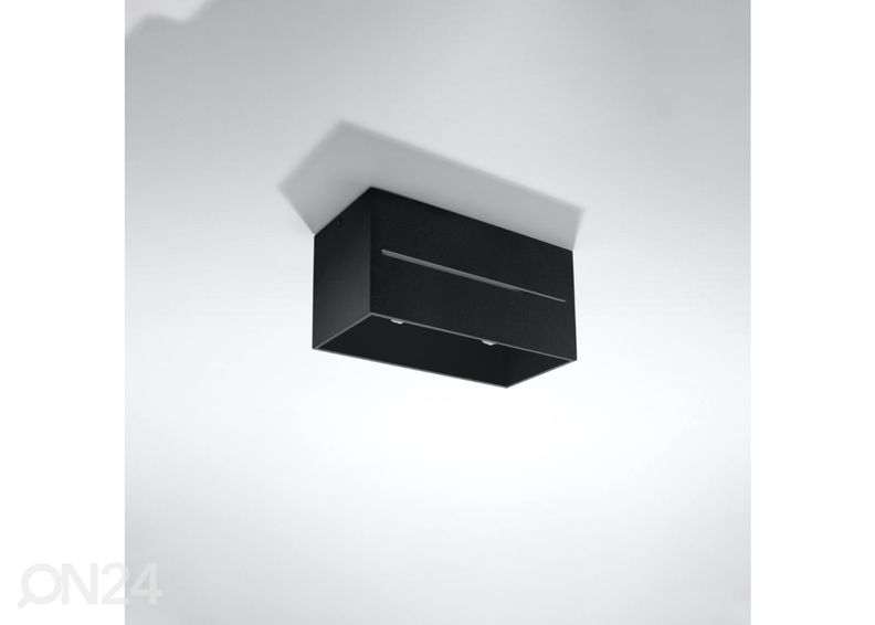 Kattovalaisin Lobo 2, musta kuvasuurennos