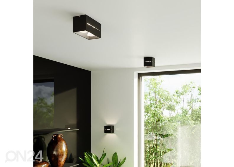 Kattovalaisin Lobo 2, musta kuvasuurennos