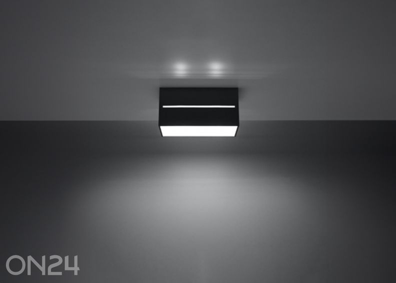 Kattovalaisin Lobo 2, musta kuvasuurennos