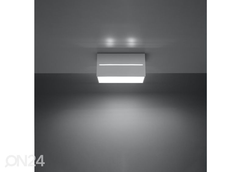 Kattovalaisin Lobo 2, valkoinen kuvasuurennos