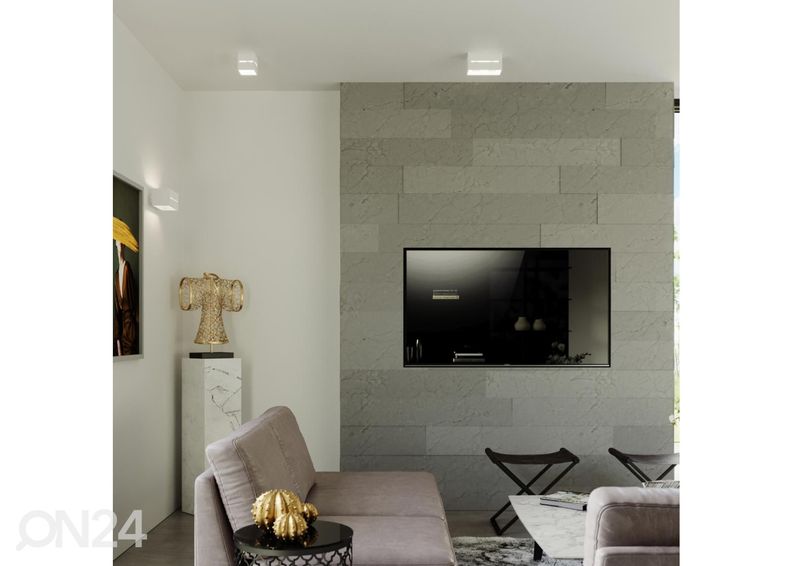 Kattovalaisin Lobo 2, valkoinen kuvasuurennos