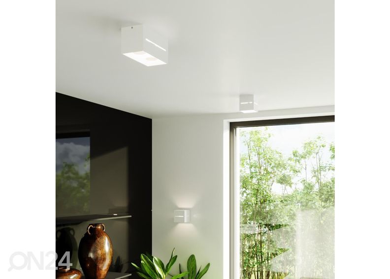 Kattovalaisin Lobo 2, valkoinen kuvasuurennos