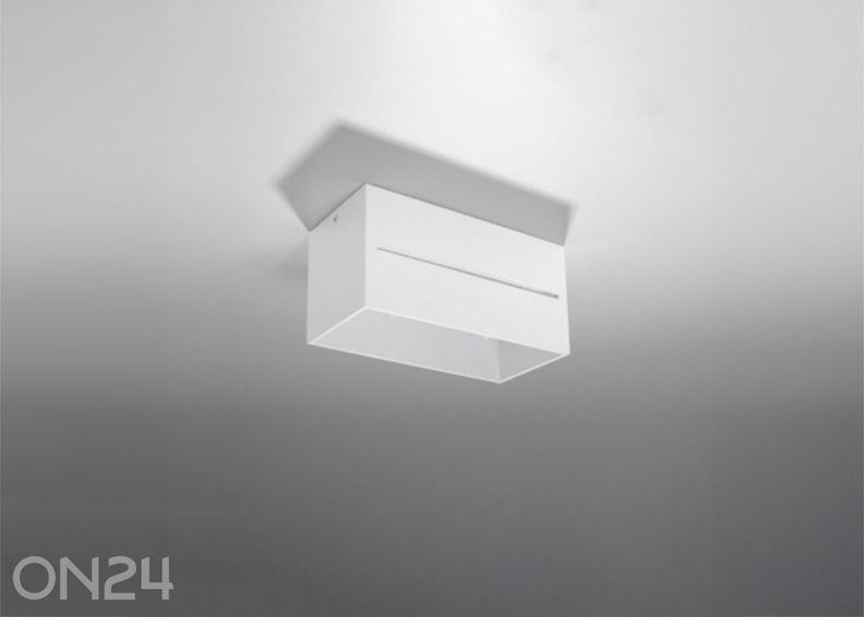 Kattovalaisin Lobo 2, valkoinen kuvasuurennos