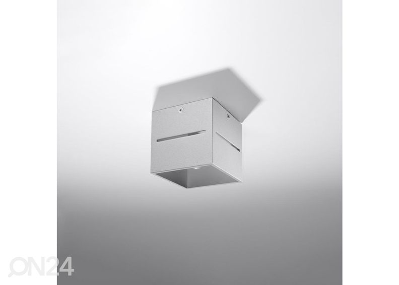 Kattovalaisin Lobo, harmaa kuvasuurennos