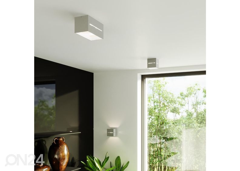 Kattovalaisin Lobo, harmaa kuvasuurennos