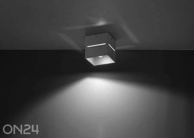 Kattovalaisin Lobo, harmaa kuvasuurennos