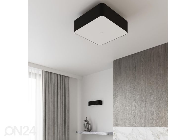 Kattovalaisin Lokko 55, musta kuvasuurennos