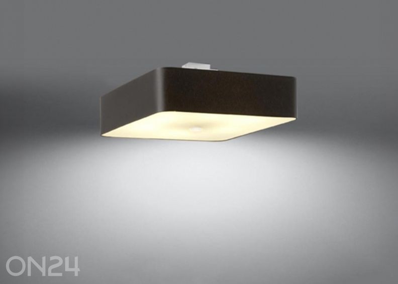 Kattovalaisin Lokko 55, musta kuvasuurennos