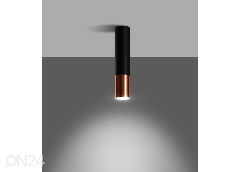 Kattovalaisin Loopez, musta/ kupari kuvasuurennos