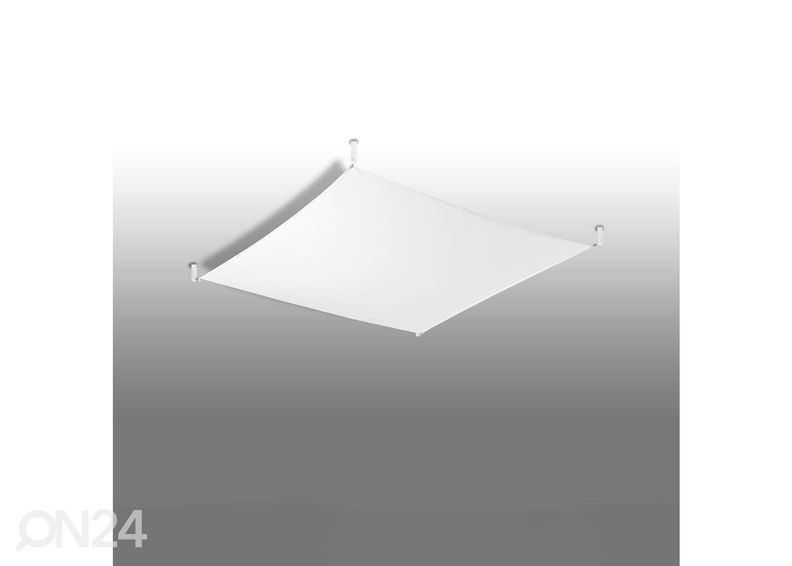 Kattovalaisin Luna 2, valkoinen kuvasuurennos