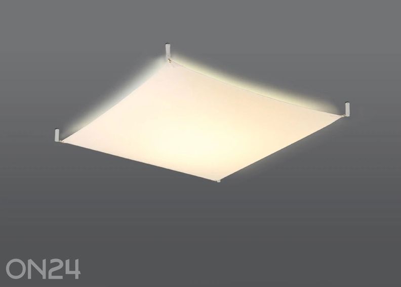 Kattovalaisin Luna 2, valkoinen kuvasuurennos