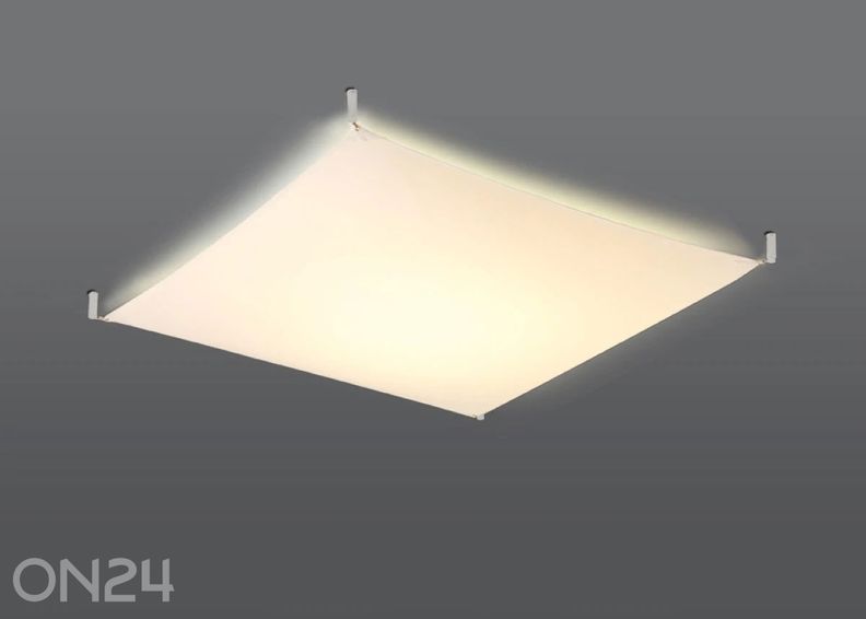 Kattovalaisin Luna 4, valkoinen kuvasuurennos