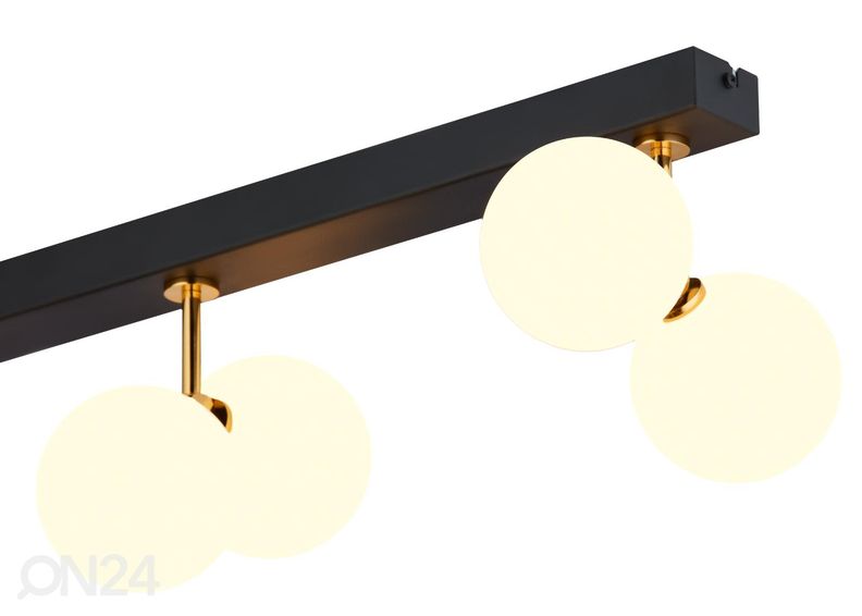 Kattovalaisin Luna 6 kuvasuurennos