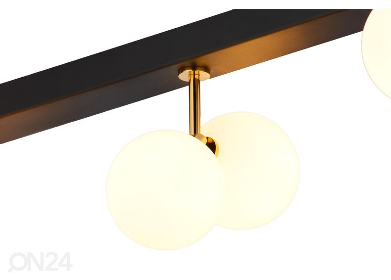 Kattovalaisin Luna 6 kuvasuurennos