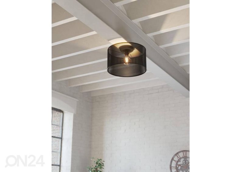 Kattovalaisin Manby kuvasuurennos