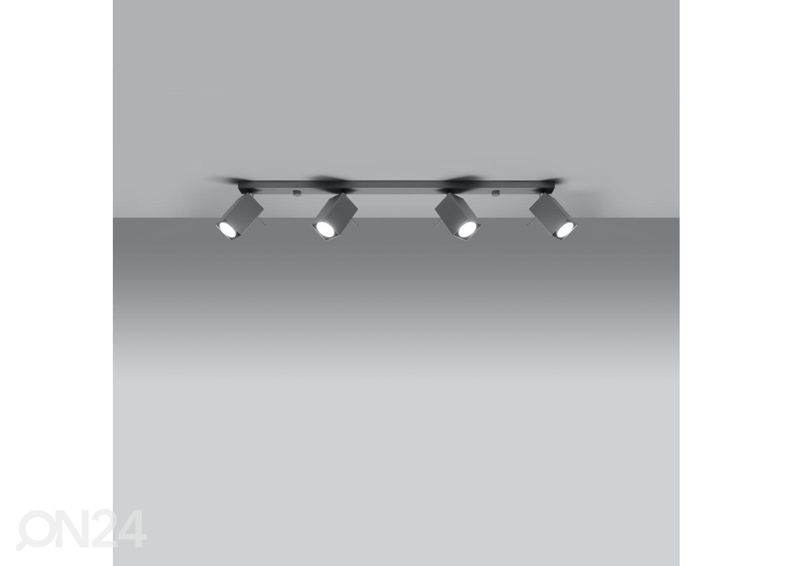 Kattovalaisin Merida 4L, hamaa kuvasuurennos