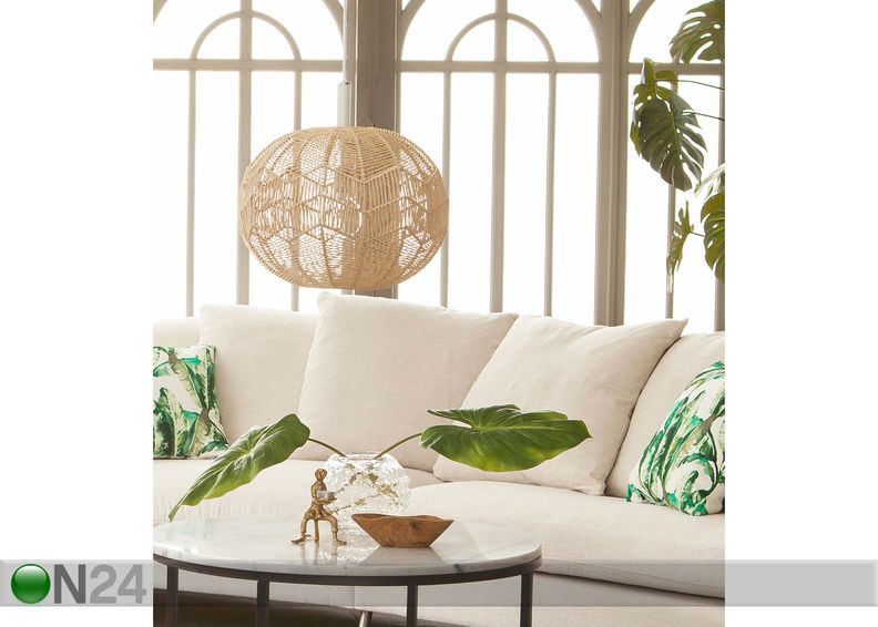 Kattovalaisin Missy kuvasuurennos