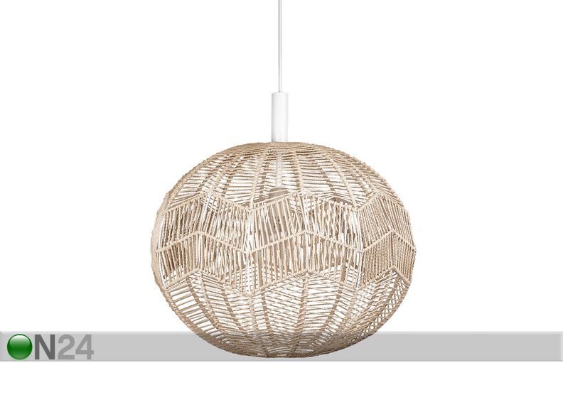 Kattovalaisin Missy kuvasuurennos