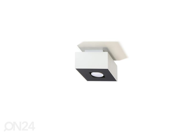 Kattovalaisin Mono 1, valkoinen kuvasuurennos