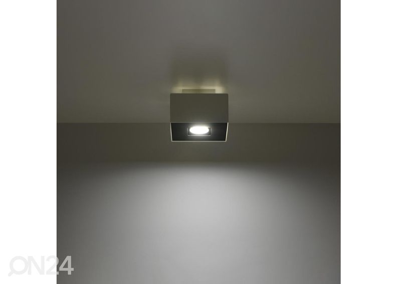 Kattovalaisin Mono 1, valkoinen kuvasuurennos