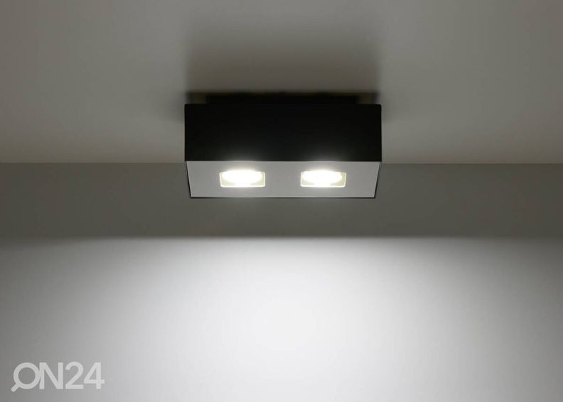 Kattovalaisin Mono 2, musta kuvasuurennos