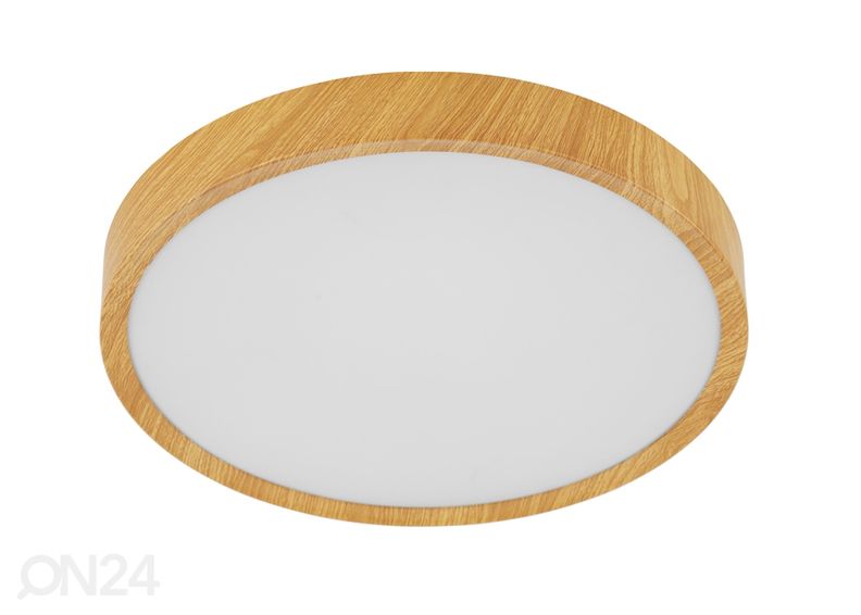 Kattovalaisin Musurita Ø 44 cm kuvasuurennos