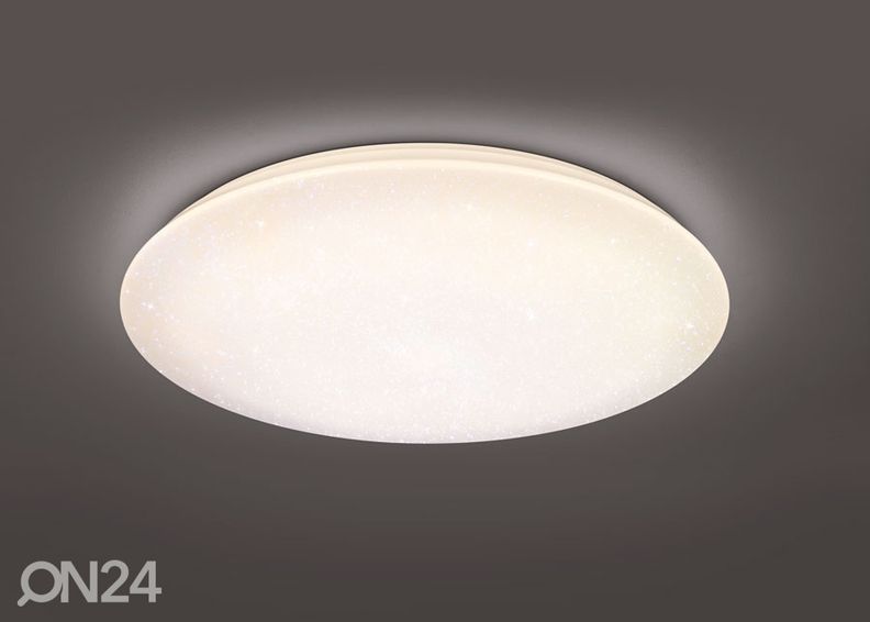 Kattovalaisin NAGANO kuvasuurennos