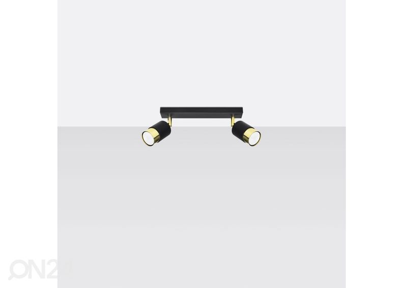 Kattovalaisin Nero 2, musta / kullanvärinen kuvasuurennos