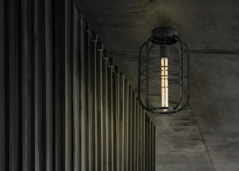 Kattovalaisin Nero kuvasuurennos