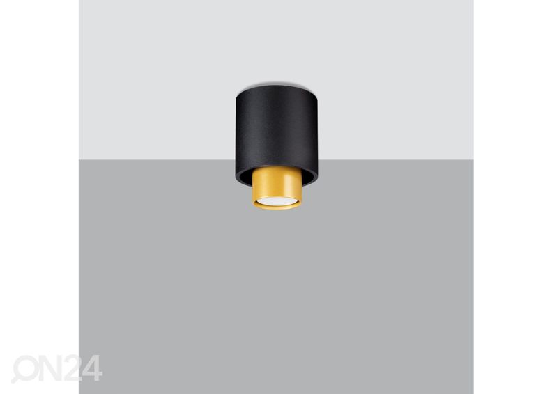 Kattovalaisin Nesi, musta kuvasuurennos