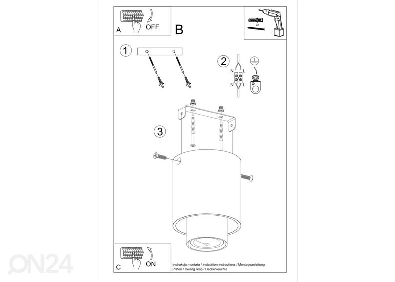 Kattovalaisin Nesi, musta kuvasuurennos