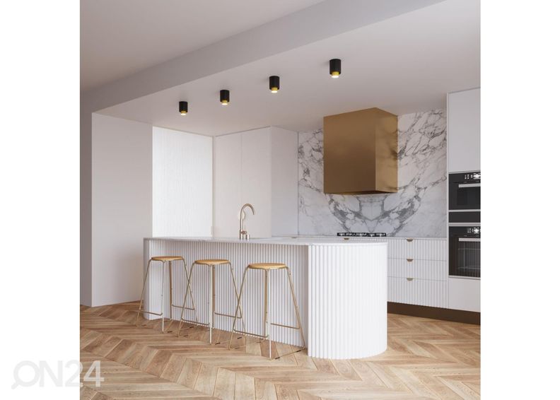 Kattovalaisin Nesi, musta kuvasuurennos