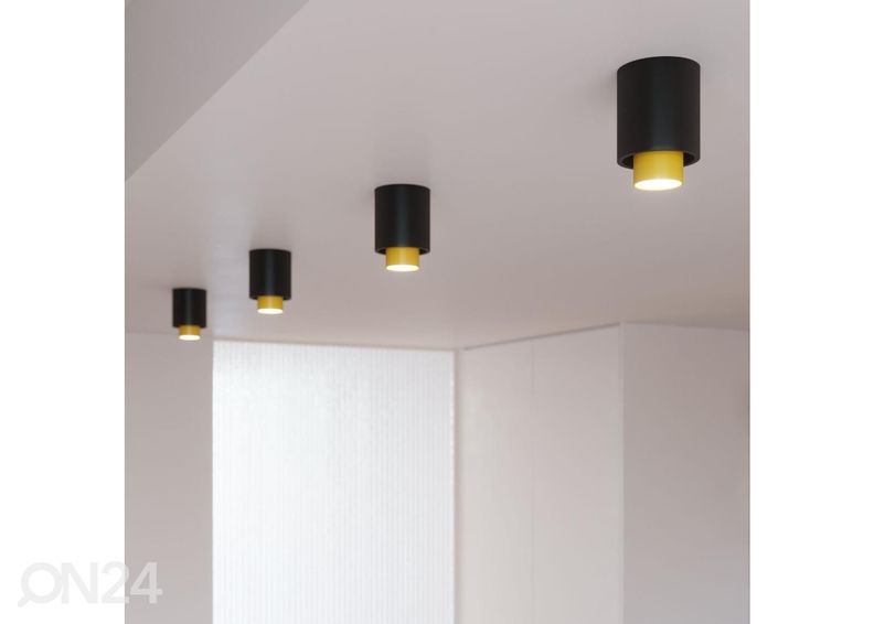 Kattovalaisin Nesi, musta kuvasuurennos