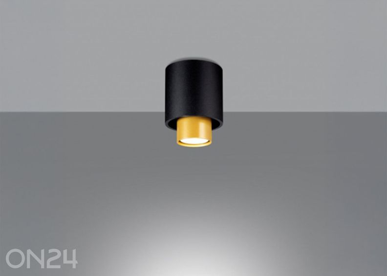 Kattovalaisin Nesi, musta kuvasuurennos