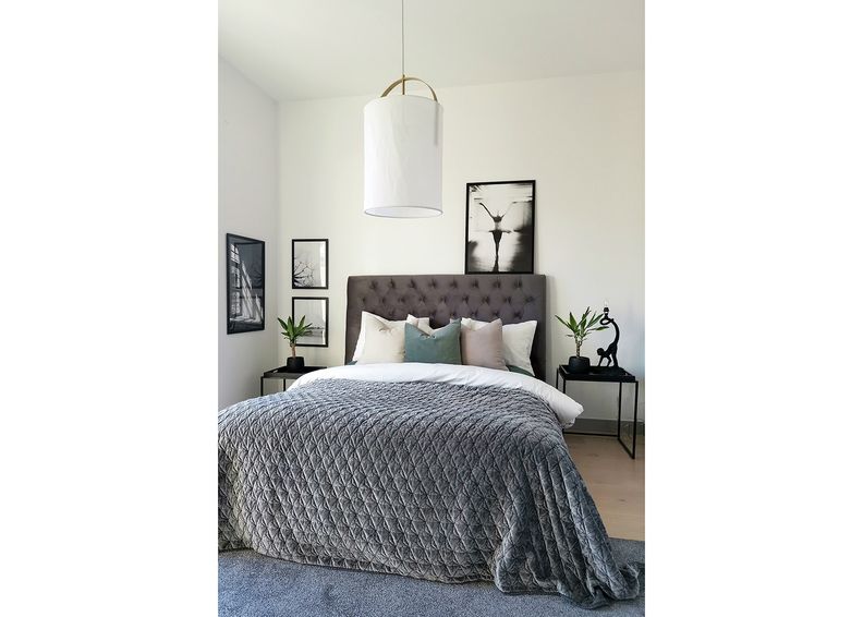 Kattovalaisin NEST kuvasuurennos