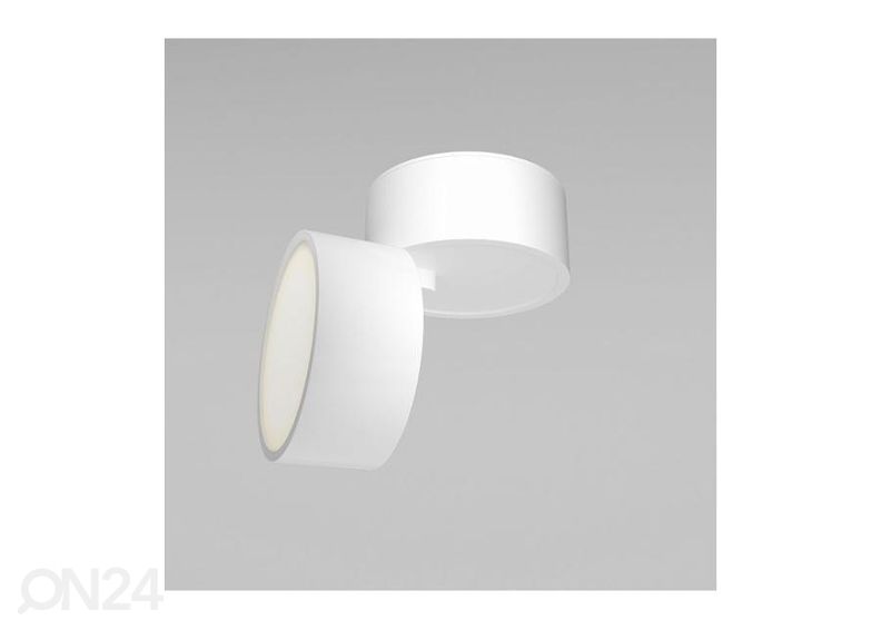 Kattovalaisin Onda kuvasuurennos