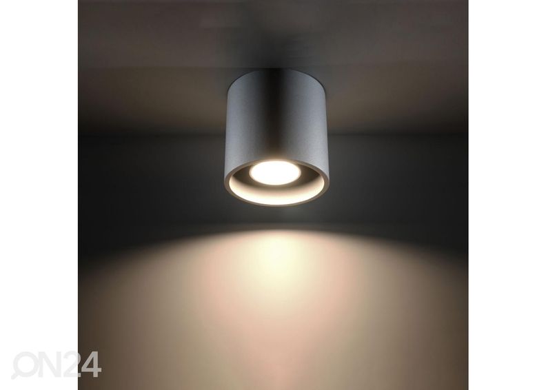 Kattovalaisin Orbis 1, harmaa kuvasuurennos